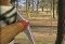 Robin Hood Adventures