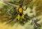 The Jumper 3: Invasion of the Locust Guild