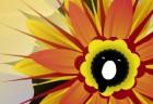 Ka-Bloom!