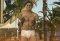 Jackass 3D: Toca Pelotas