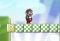 New Mario Bros 2