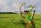 Ballon Hunter