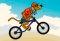 Scooby Doo Beach BMX