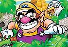 Wario Land 4