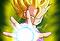 Dragon Ball Z: The Legendary Saiyan