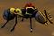 Ant Maniac