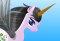 My Own Unicorn