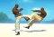 Capoeira Fighter