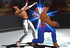 Art of Free Fight