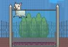 Llama in your Face