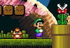 Luigi's Misadventures