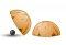 The Shell Game