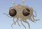Flying Spaghetti Monster