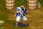 Dynasty Warrior