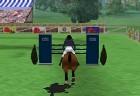 Horse Race