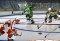 Hockey Face-Off